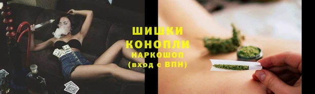 дмт Ступино